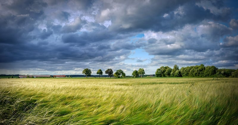 L'impact de la fast fashion sur l'environnement : ce que cachent nos vêtements